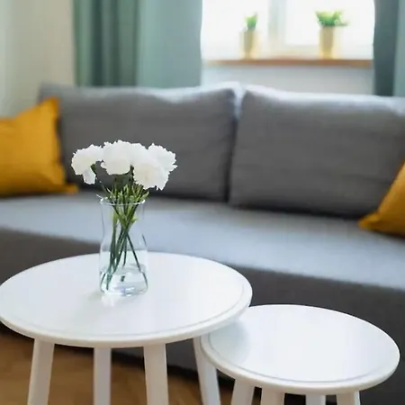 Duże Mieszkanie W Samym Rynku Apartament