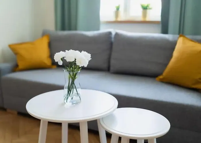 Duze Mieszkanie W Samym Rynku Appartement