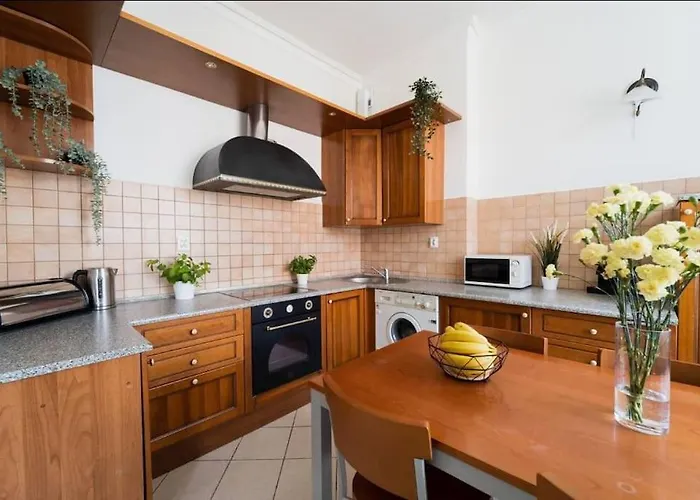 Duze Mieszkanie W Samym Rynku